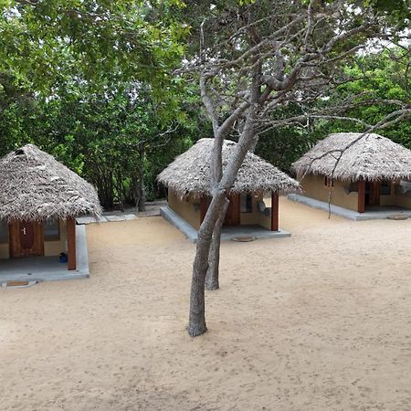 Peanut Farm Surf And Wild Resort - Arugambay آروغام المظهر الخارجي الصورة