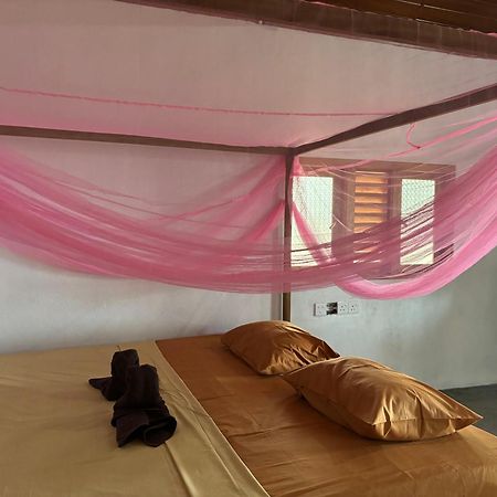 Peanut Farm Surf And Wild Resort - Arugambay آروغام المظهر الخارجي الصورة