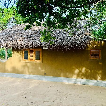 Peanut Farm Surf And Wild Resort - Arugambay آروغام المظهر الخارجي الصورة