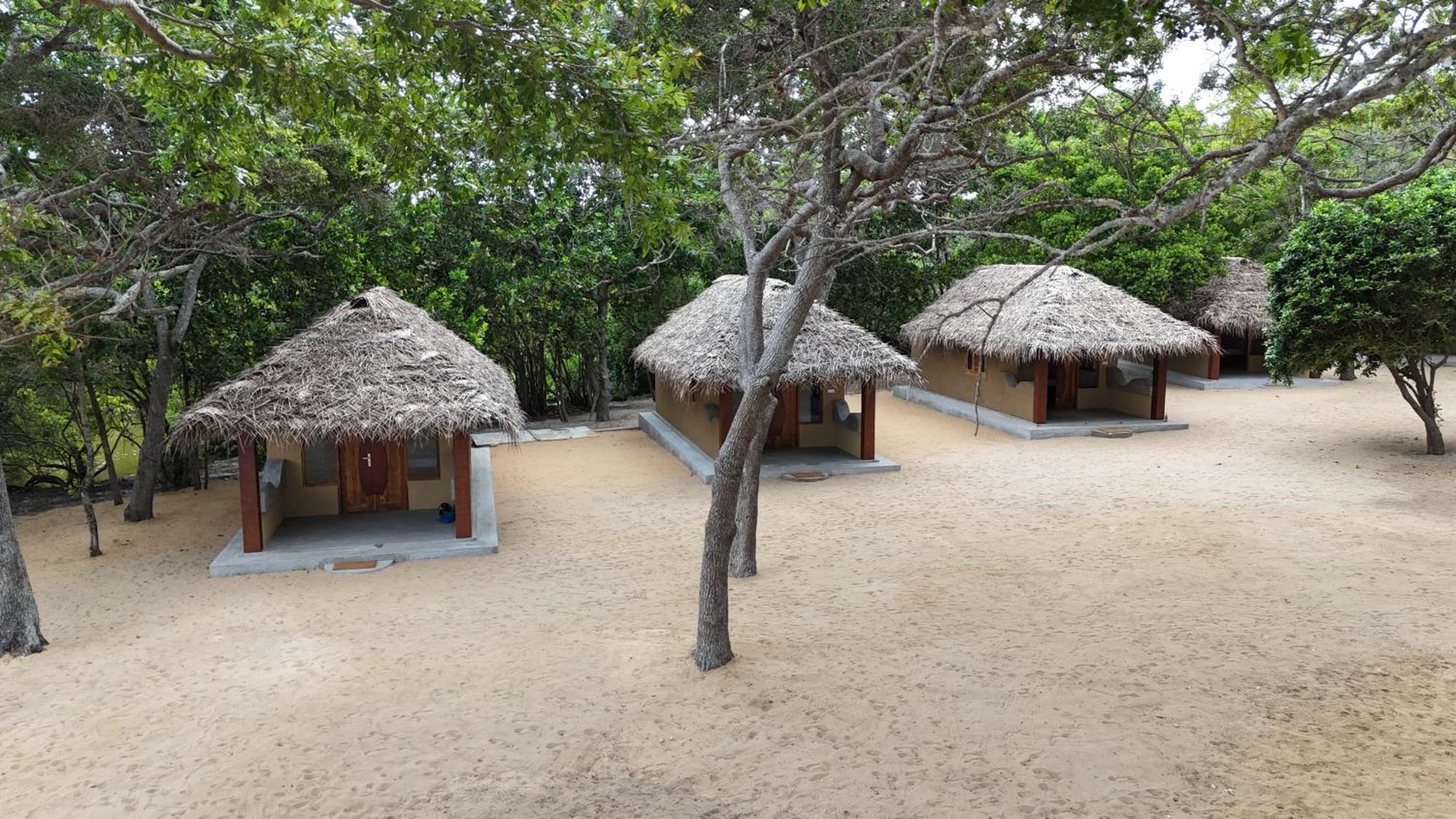 Peanut Farm Surf And Wild Resort - Arugambay آروغام المظهر الخارجي الصورة