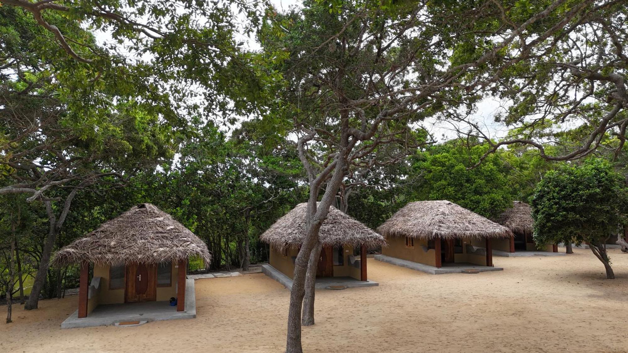 Peanut Farm Surf And Wild Resort - Arugambay آروغام المظهر الخارجي الصورة