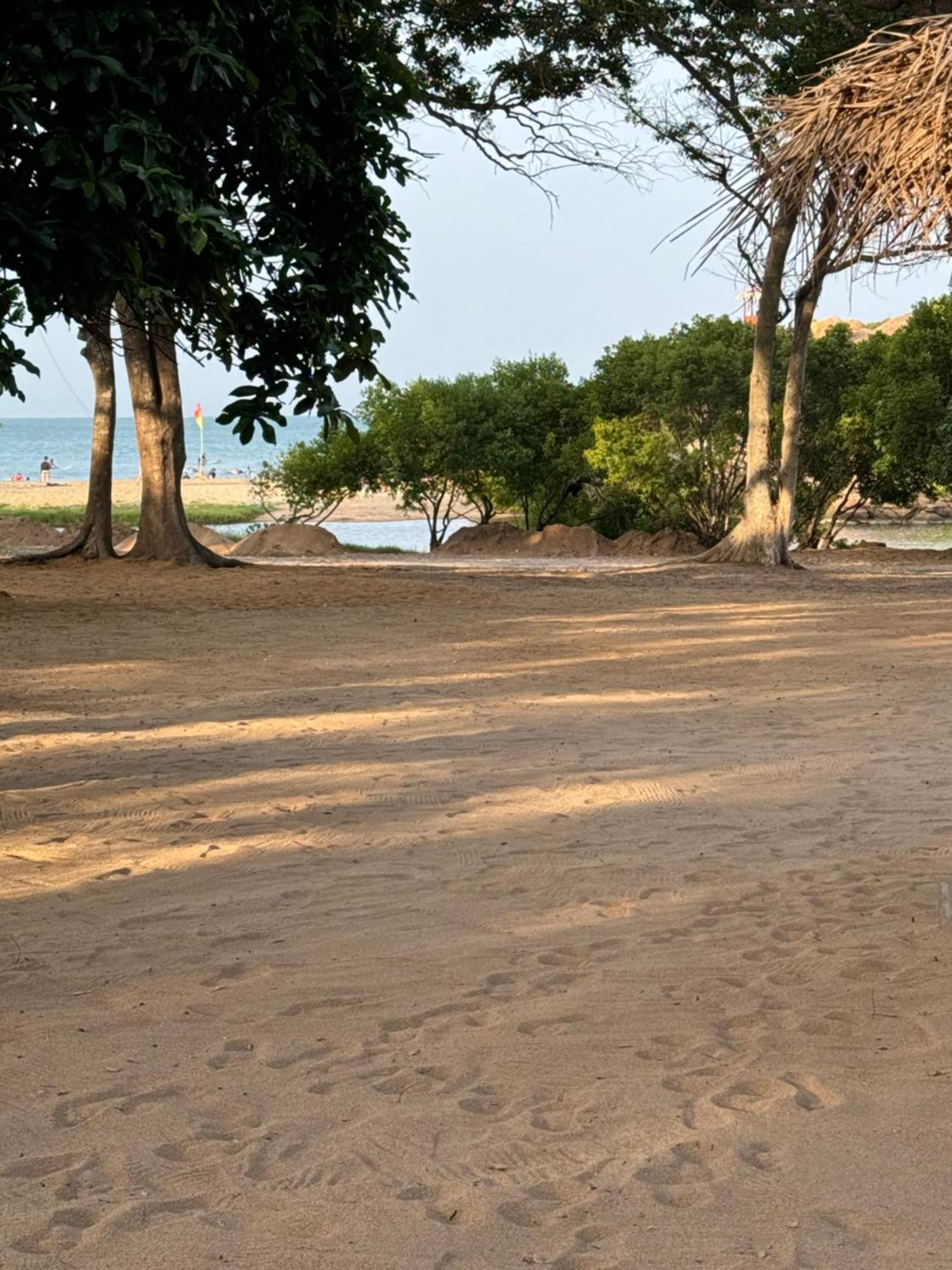 Peanut Farm Surf And Wild Resort - Arugambay آروغام المظهر الخارجي الصورة