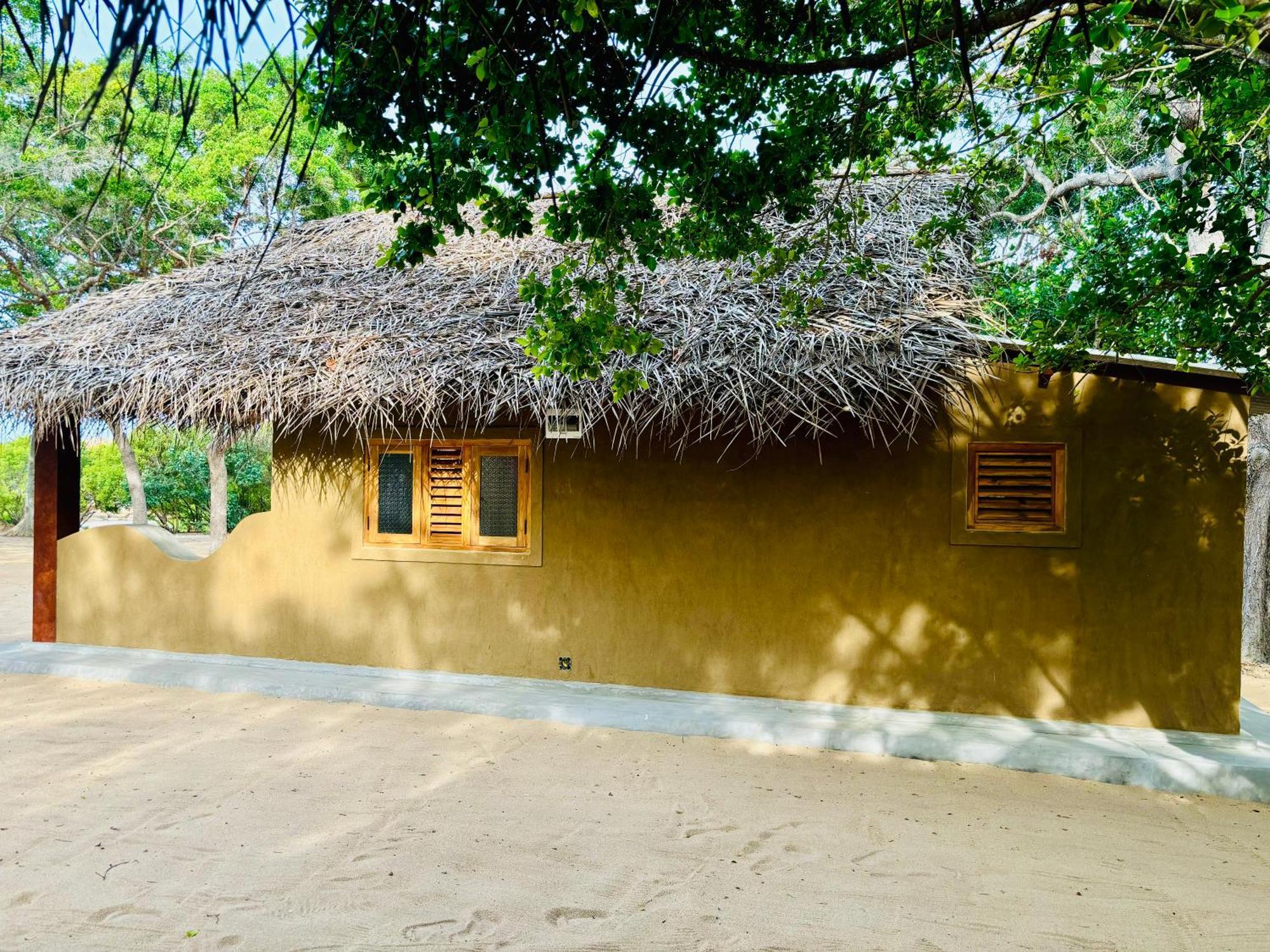 Peanut Farm Surf And Wild Resort - Arugambay آروغام المظهر الخارجي الصورة