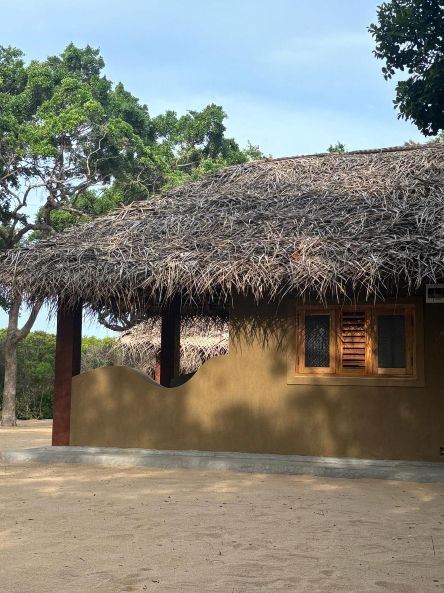 Peanut Farm Surf And Wild Resort - Arugambay آروغام المظهر الخارجي الصورة