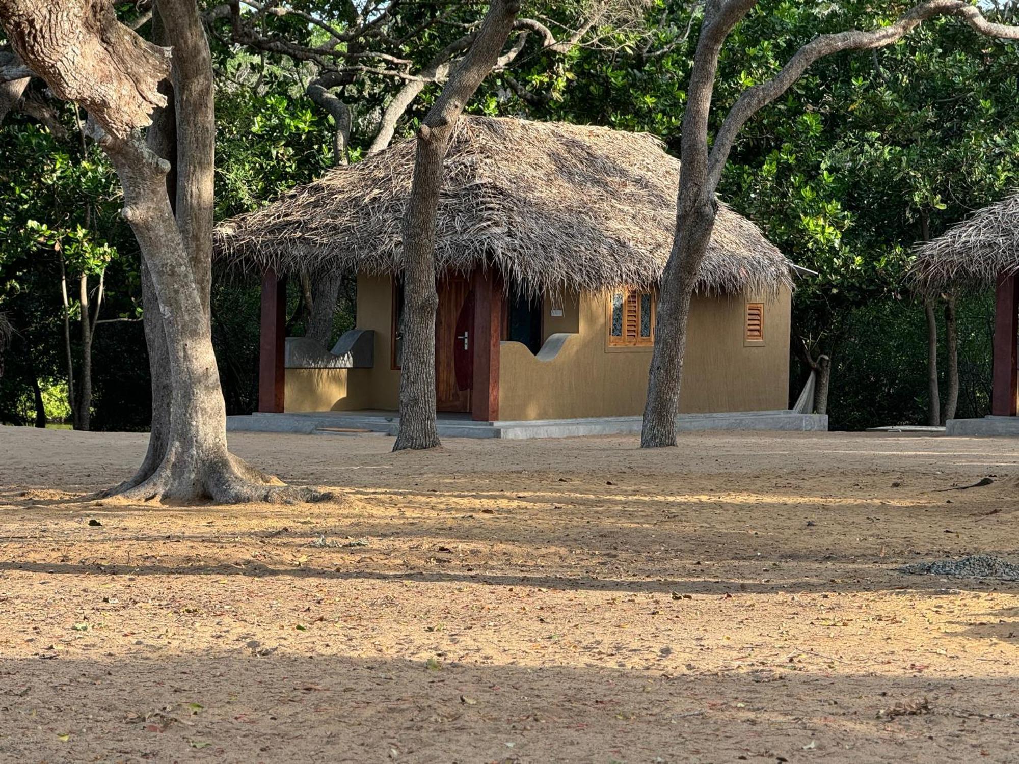 Peanut Farm Surf And Wild Resort - Arugambay آروغام المظهر الخارجي الصورة