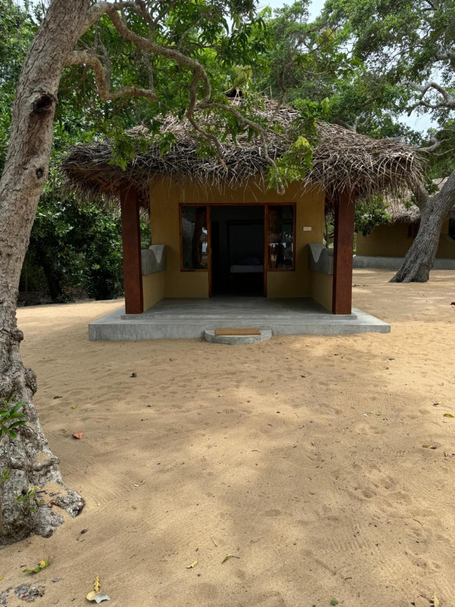 Peanut Farm Surf And Wild Resort - Arugambay آروغام المظهر الخارجي الصورة