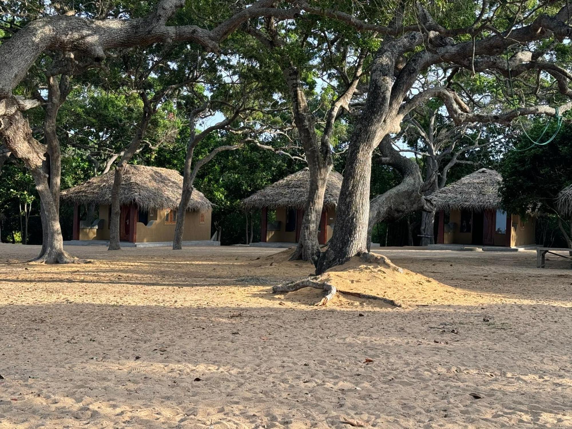 Peanut Farm Surf And Wild Resort - Arugambay آروغام المظهر الخارجي الصورة