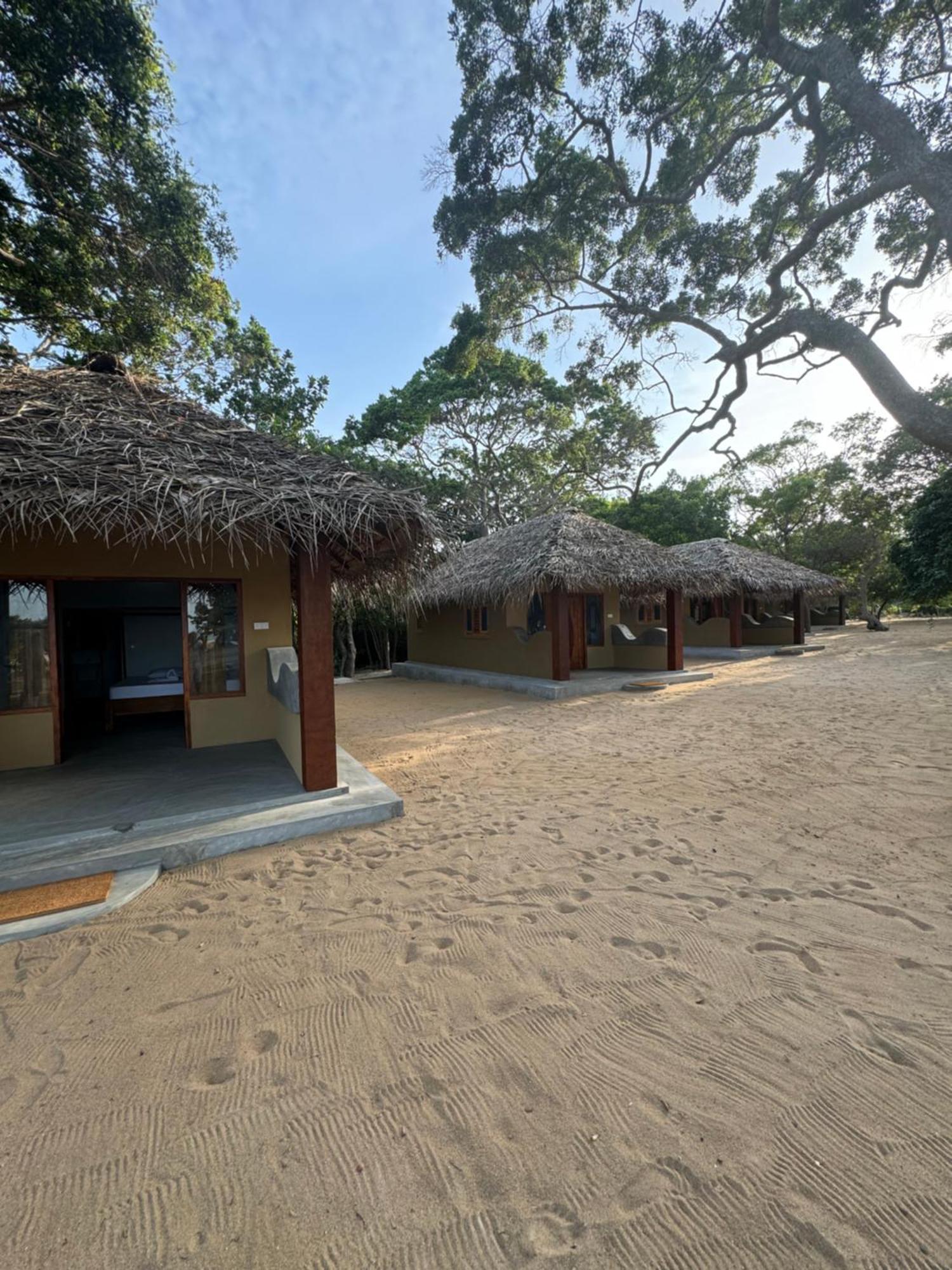 Peanut Farm Surf And Wild Resort - Arugambay آروغام المظهر الخارجي الصورة
