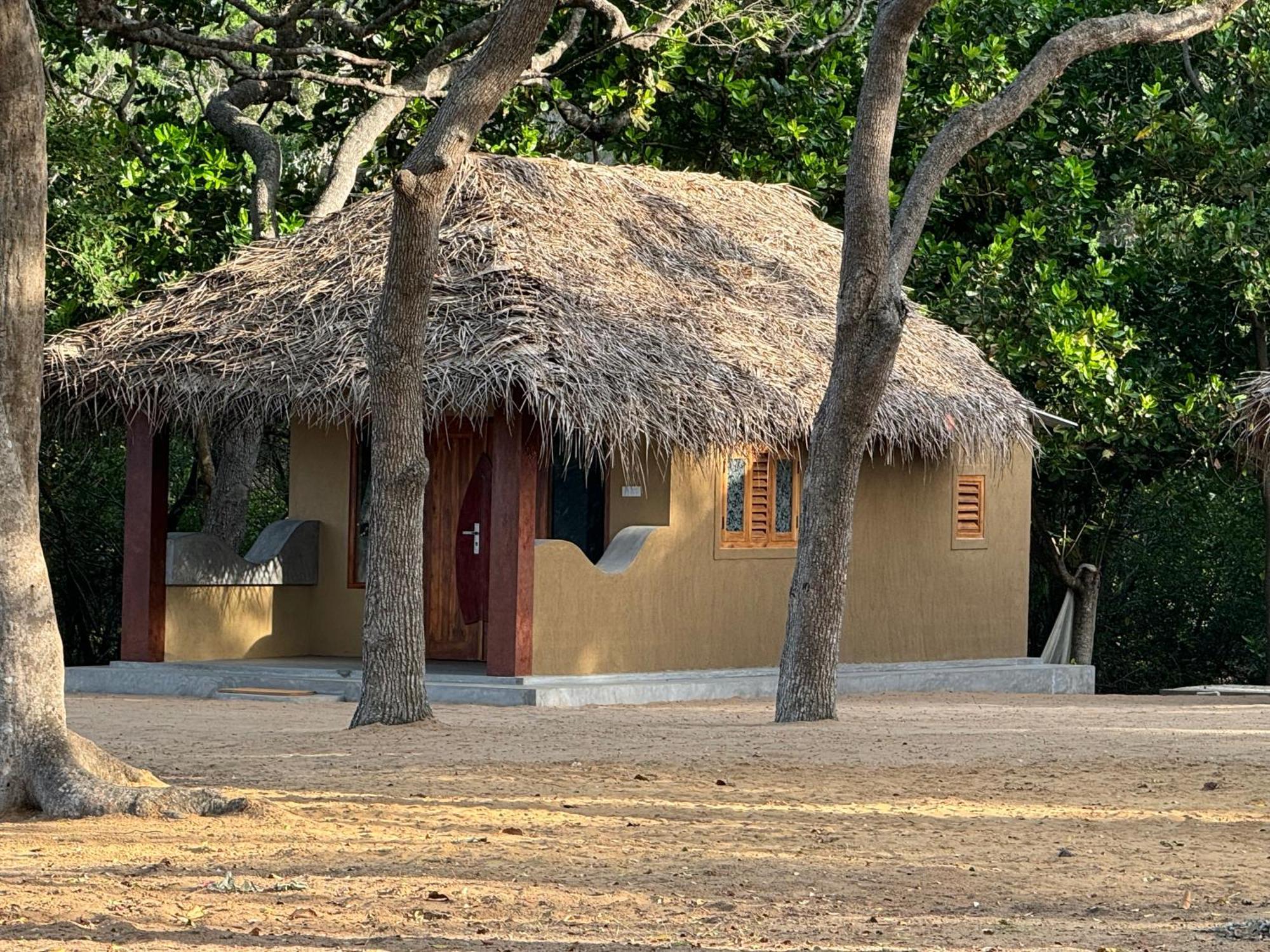 Peanut Farm Surf And Wild Resort - Arugambay آروغام المظهر الخارجي الصورة