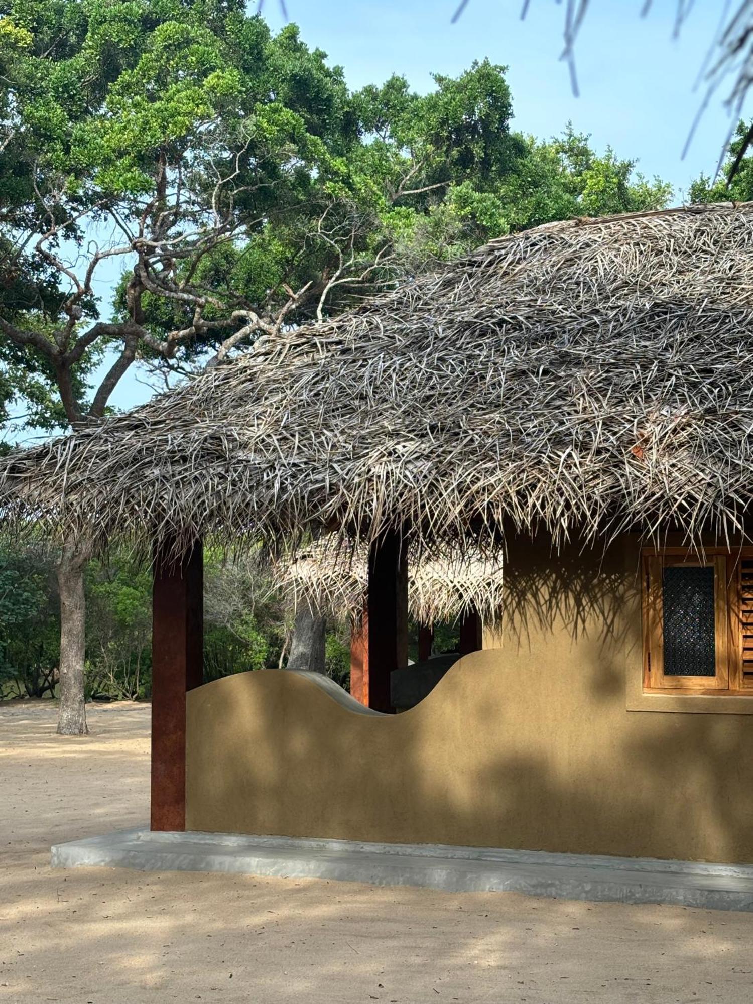 Peanut Farm Surf And Wild Resort - Arugambay آروغام المظهر الخارجي الصورة