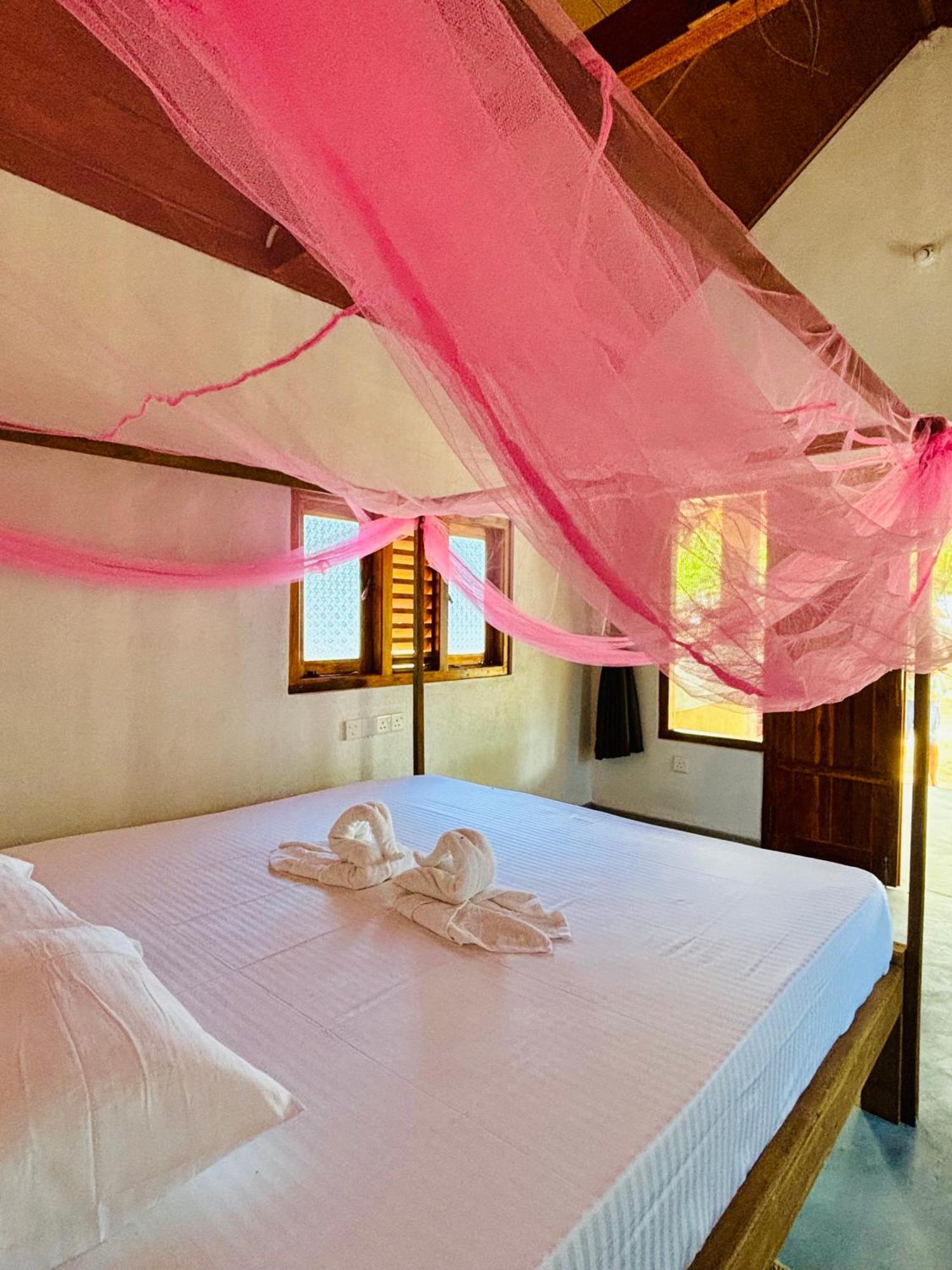 Peanut Farm Surf And Wild Resort - Arugambay آروغام المظهر الخارجي الصورة