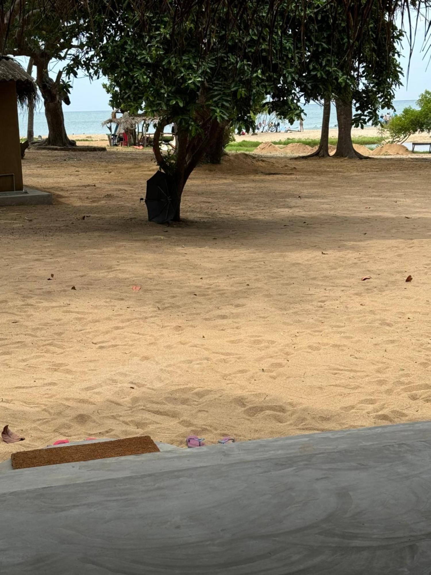 Peanut Farm Surf And Wild Resort - Arugambay آروغام المظهر الخارجي الصورة