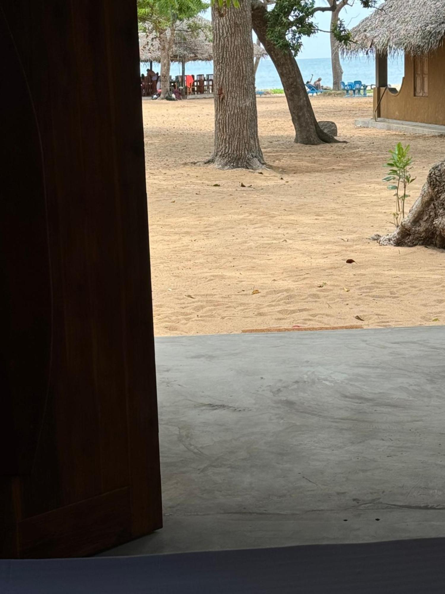 Peanut Farm Surf And Wild Resort - Arugambay آروغام المظهر الخارجي الصورة